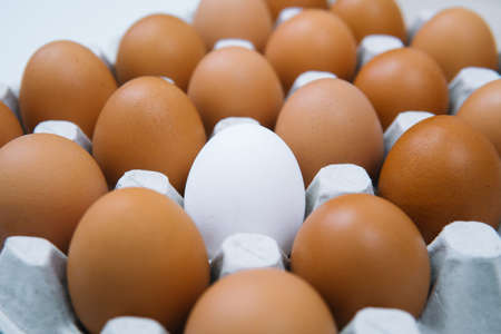 Fresh brown chicken eggs and alone white egg. Side view natural organic egg. Healthy real foodの写真素材