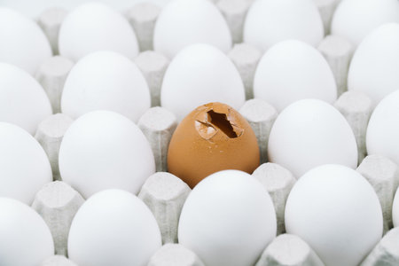 White raw chicken eggs and alone broken brown egg in a tray top viewの写真素材