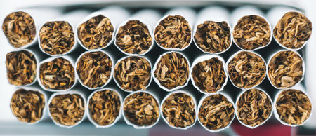 Close up tobacco cigarette background or texture. Heap of tobacco cigarettes close up from the front