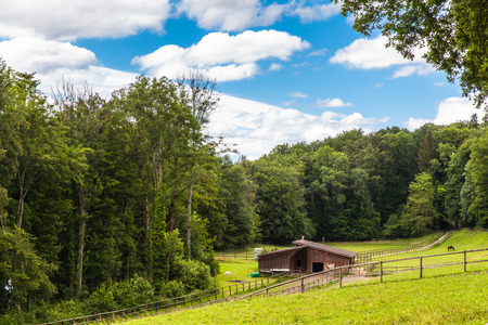 Pasture near Schaffhausen by the hiking trail, Switzerlandの写真素材