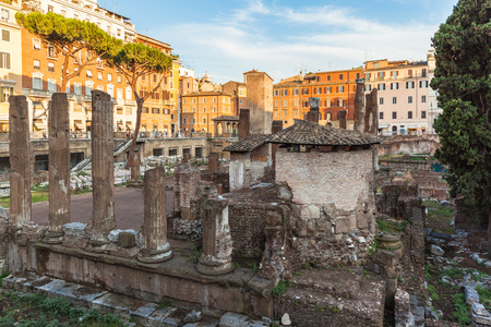 view of ancient rome ruins at the square Largo di Torre Argentina in sunset, Rome, Italyの写真素材