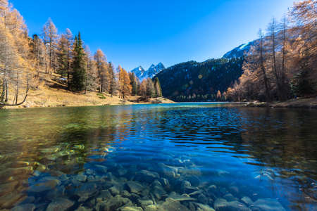 Stunning view of the Palpuogna lake near Albula pass with golden larch in autumn, Canton of Grisons, Switzerlandの写真素材