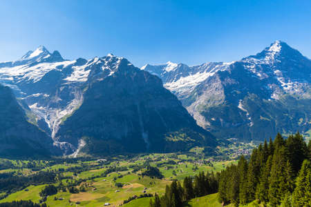 Panorama view of Schreckhorn, Fiescherwand, Eiger in summer from Grindelwald First, on Bernese Oberland, Switzerlandの写真素材