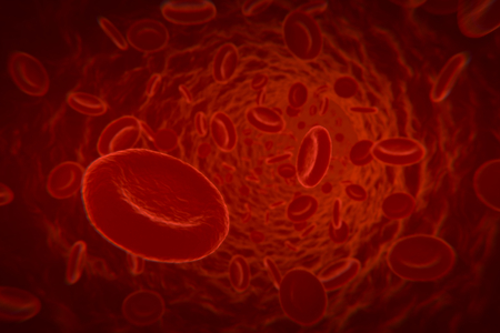 Blood cells in veinの写真素材