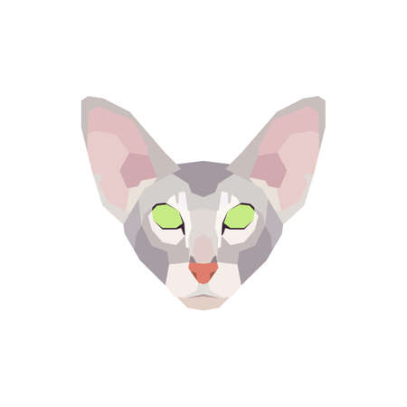 Low poly Oriental Shorthair cat head. Vector illustrationのイラスト素材