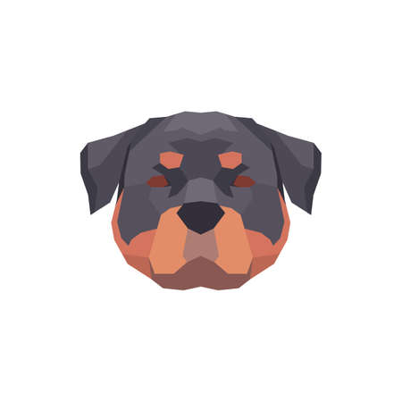Low poly Rottweiler head. Vector illustrationのイラスト素材