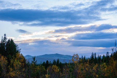 autumn at forestの写真素材