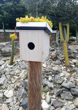 Bird house