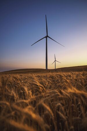 Two wind turbines rotate around generating energy in the middle of a wheat field.  Wind farms, are becoming an increasingly important source of intermittent renewable energy and are used by many countries as part of a strategy to reduce their reliance on fossil fuels.の写真素材