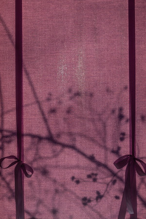 The morning sun shines through the curtain. Reflection of trees outside the window. Bottle tank....