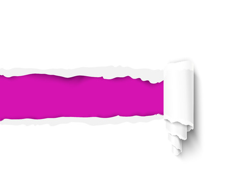 White torn paper with a paper roll over pink background with space for text. Realistic vector damaged paper with ripped edges. Torn paper banner for web and printのイラスト素材
