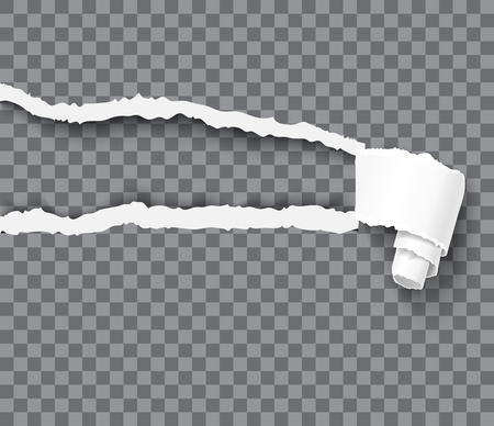 Torn paper realistic vector illustrationのイラスト素材