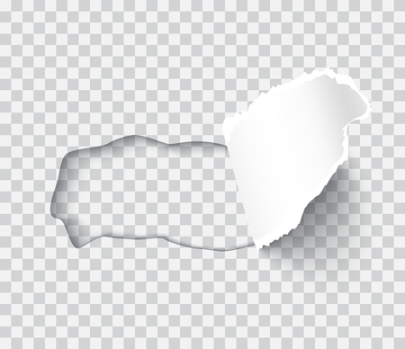 Torn paper realistic vector illustrationのイラスト素材