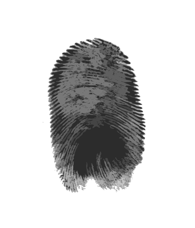 Fingerprint icon silhouette on white backgroundのイラスト素材