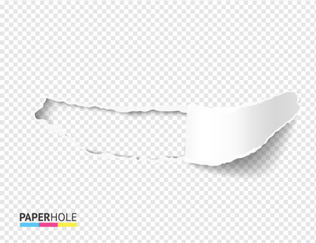 Empty torn paper hole vector banner with scrolled tear off piece on transparent for revealing advert messageのイラスト素材