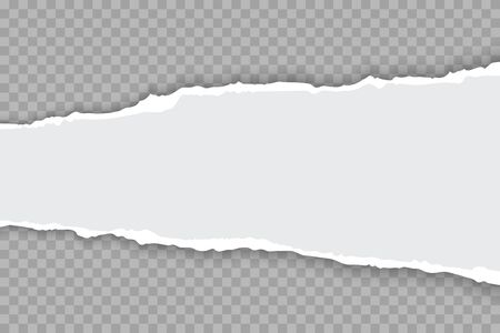 Torn paper with ripped edges realistic vector illustrationのイラスト素材