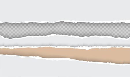 Torn paper with ripped edges realistic vector illustrationのイラスト素材