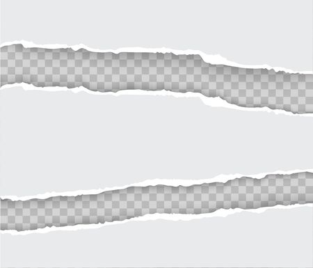 Torn paper with ripped edges realistic vector illustrationのイラスト素材