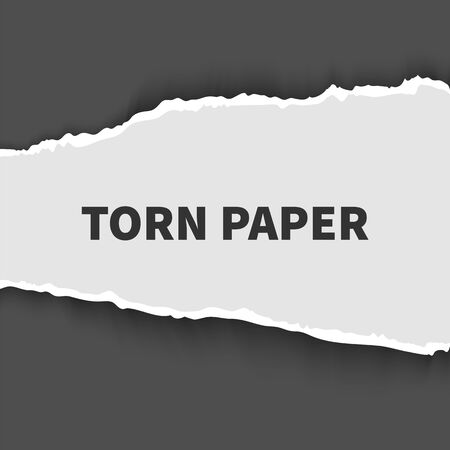 Tear paper piece for web banner, template, mock upのイラスト素材
