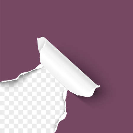 Paper corner torn hole corner of color paper sheet with paper curl isolated on transparent background realistic vector illustrationのイラスト素材