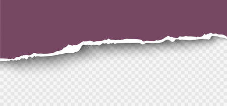Ripped paper realistic vector illustration. Torn paper composition with place for your design.のイラスト素材