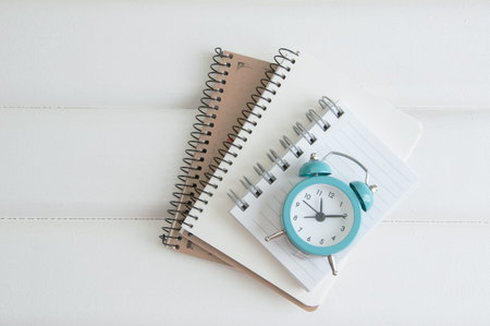 Notebooks, alarm clock and sprig of mint on white wooden background