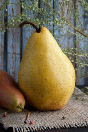 Two pears on shabby blue wall backgroundの写真素材