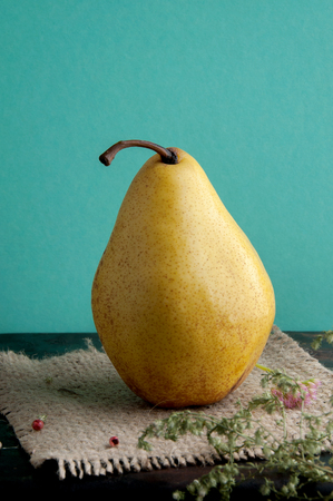 Yellow pear on mint wall backgroundの写真素材