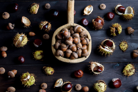 Acorns and  chestnuts on wooden brown backgroundの写真素材