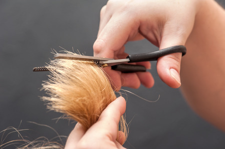 Scissors cut the girls hair close upの写真素材