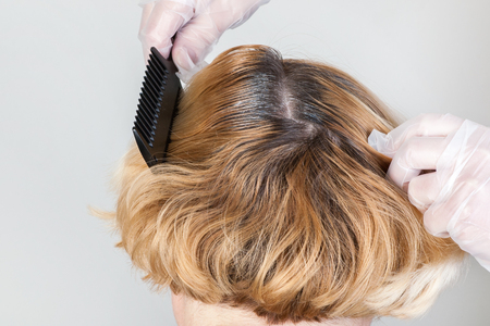 Dark roots of hair, overgrown hair. Hair dyeingの写真素材