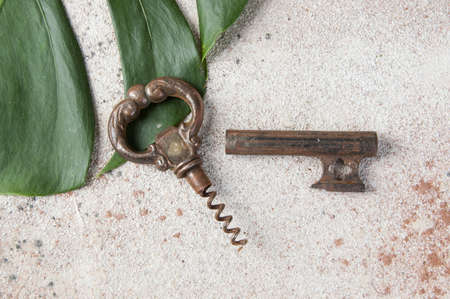 Antique metal wine corkscrew on concrete background. COpy space for text, food photography props.の写真素材