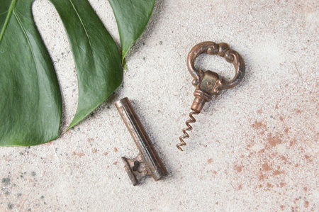 Antique metal wine corkscrew on concrete background. COpy space for text, food photography props.