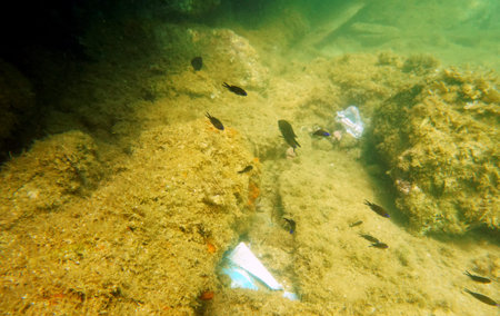 Environmental problem of plastic and other rubbish pollution under the sea