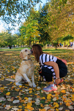 Young woman with her labrador retriever dog sitting in autumn parkの写真素材