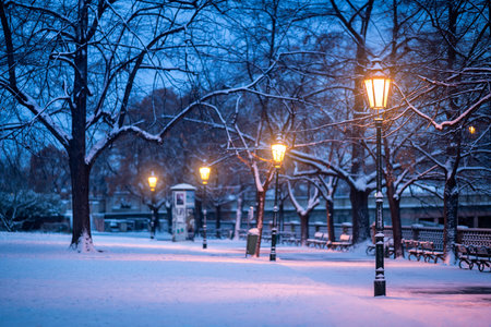 Lamps in the snowy city.の写真素材