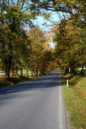 Autumn routeの写真素材