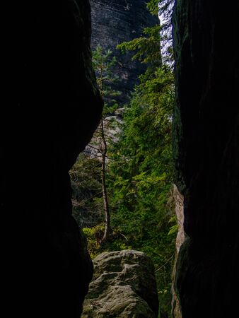 The tree on the rock behind the rock manholeの写真素材