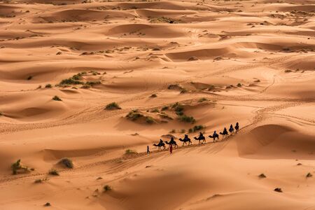 Beautiful Sahara desert with camels caravan (train) and sand dunes from top view in sunny day near Merzouga, Moroccoの写真素材