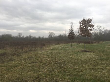 Autumn landscape with field, forest, dark clouds and bad weather.の写真素材