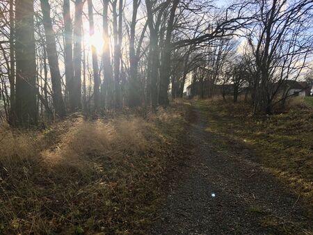 End of forest road at sunset, beginning of village with one house.の写真素材