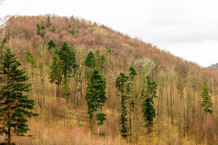 Picturesque landscape with colorfull autumn trees during the sunset, mountains in the background. Koprivnice.の写真素材