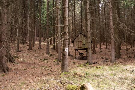The small abandoned wooden house, located on the edge of a forest. The house is damaged. Czech Republicの写真素材