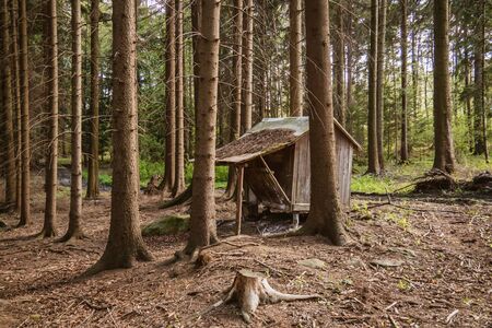 The small abandoned wooden house, located on the edge of a forest. The house is damaged. Czech Republicの写真素材