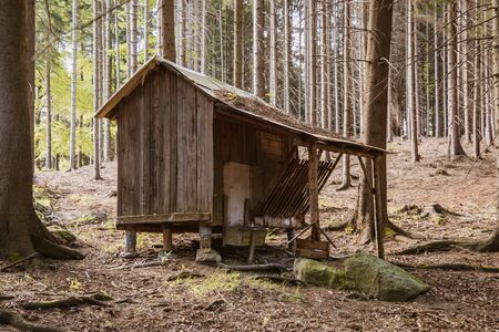 The small abandoned wooden house, located on the edge of a forest. The house is damaged. Czech Republicの写真素材