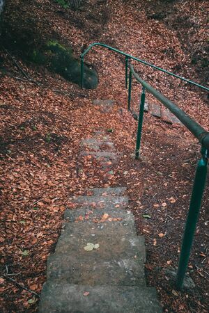 Red autumn forest park stair landscape. Autumn forest stairway view. Red autumn forest stairway down. Red autumn wallpaper. Czech Republicの写真素材