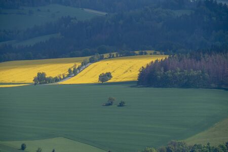 A beautiful Czech Republic agriculture landscape with light and yellow rape fields.の写真素材