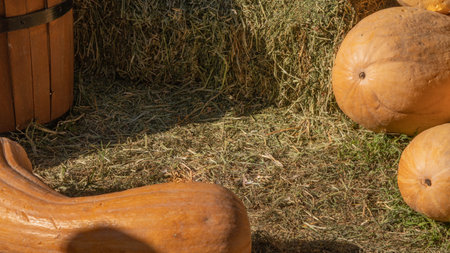Pumpkin in the hay, autumn time, background with space for text. high quality photo