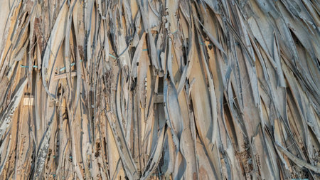 Dry leaves straw texture backgroundの写真素材