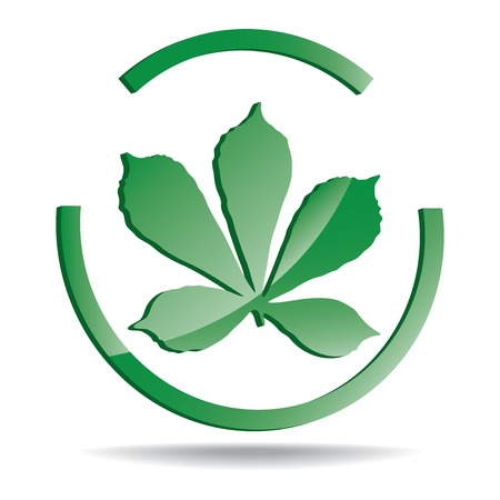 vector with a picture of a chestnut leafのイラスト素材